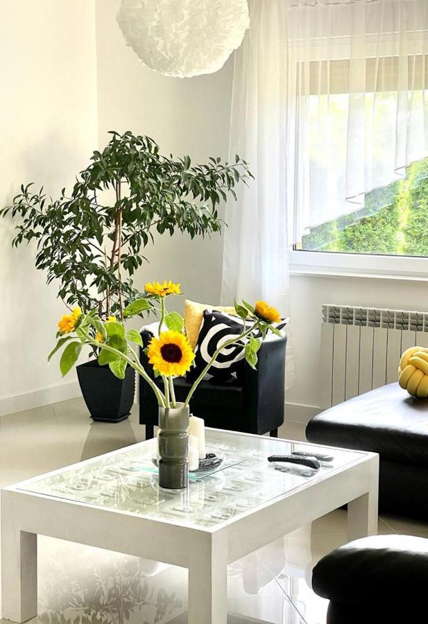 Villa U Gosi Zator Esterno foto